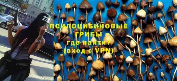 мдма Киреевск