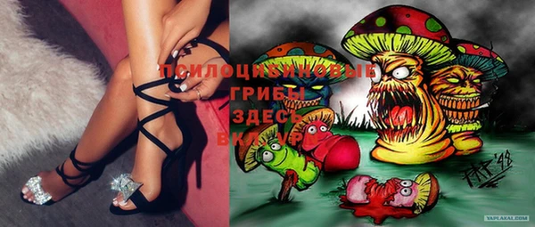 мдма Киреевск